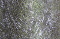 The Grange fibreglass roof work